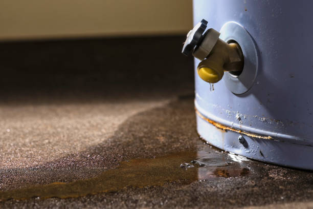  Provo, UT Water damage restoration Pros