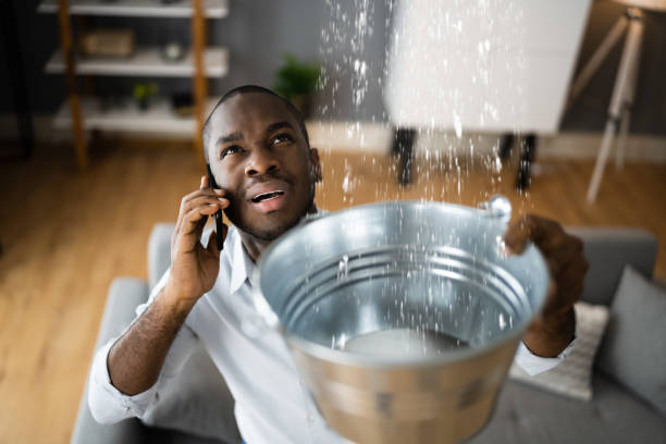 Best Flood damage cleanup  in Provo, UT