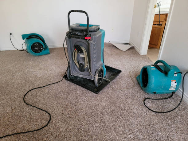 Best Carpet water damage restoration  in Provo, UT