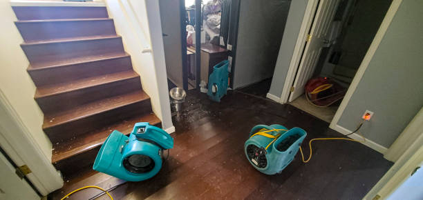 Best 24/7 water damage repair  in Provo, UT