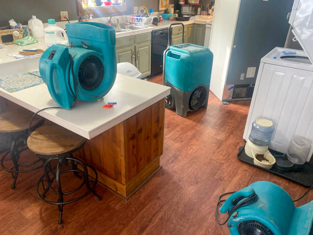 Best Water damage restoration near me  in Provo, UT