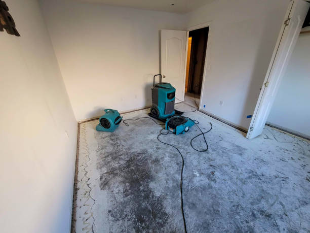 Best Flooded house restoration  in Provo, UT