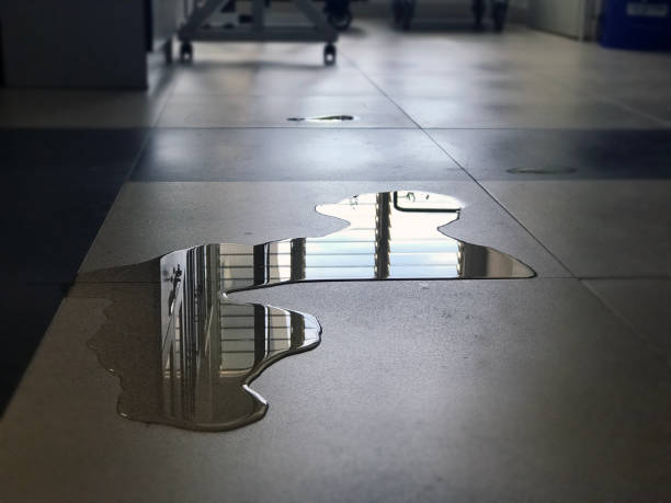 Best Emergency water damage restoration  in Provo, UT