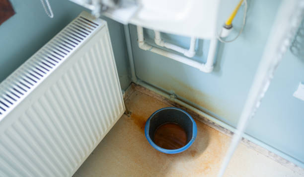 Best Water damage contractors near me  in Provo, UT