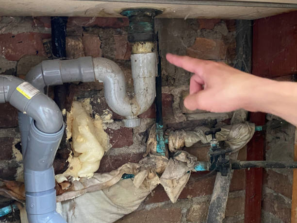 Best Water damage restoration near me  in Provo, UT