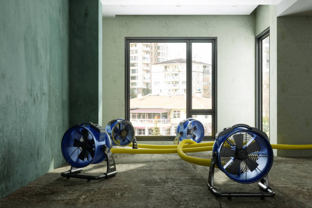 Best Sewage cleanup and water damage restoration  in Provo, UT